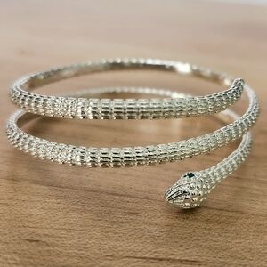 Snake Silver Bangle Structured Bracelet